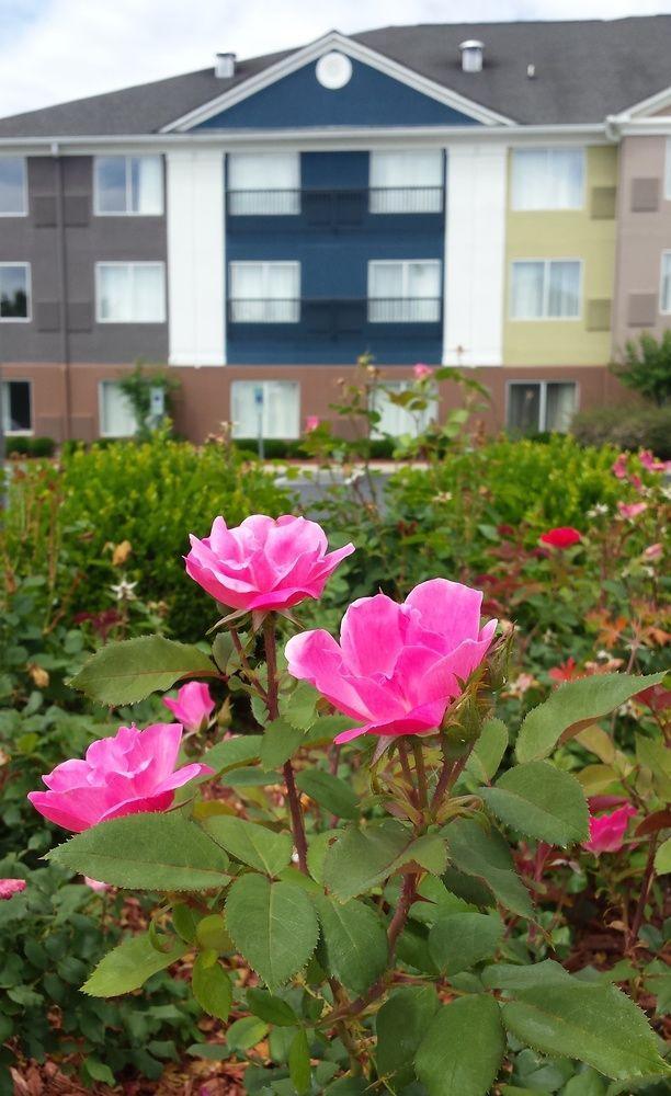 Quality - Charlotte Hotel Pineville